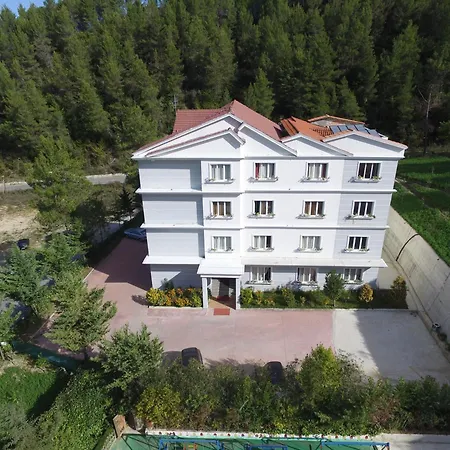 Hotel Elvis Mjull-Bethore