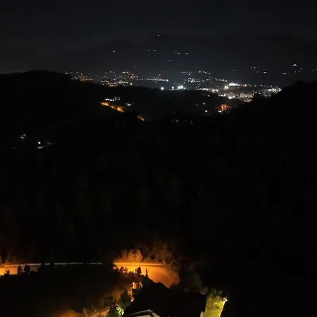 Elvis 3* Mjull-Bathore